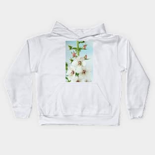 Verbascum blattaria  'White Blush'  Mullein Kids Hoodie